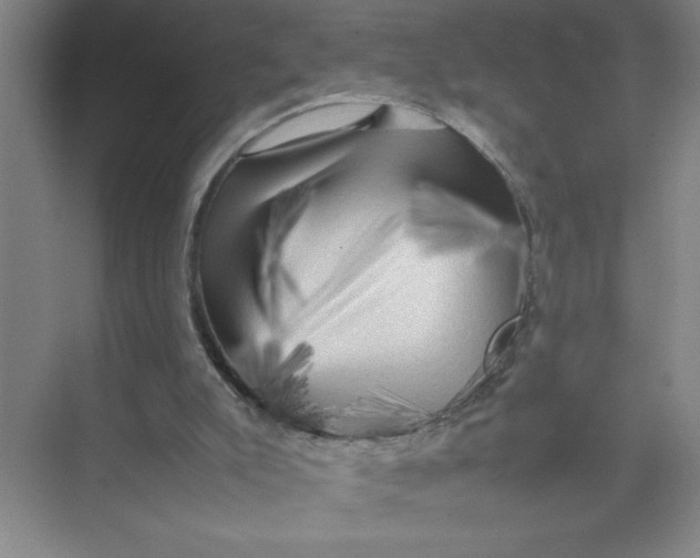 X0000074030007200609181938