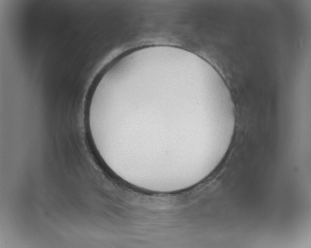 X0000074030008200609181938