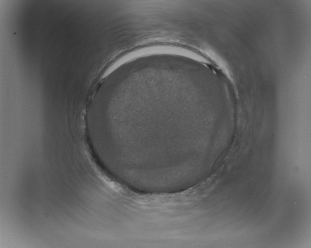 X0000074030009200609181938