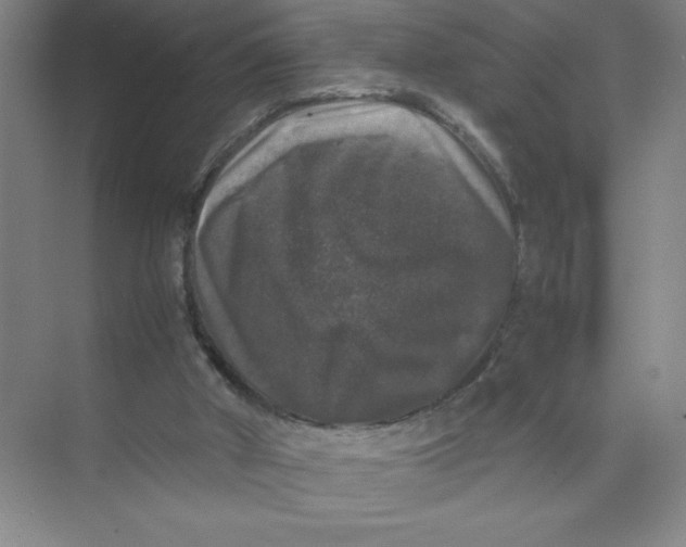 X0000074030010200609181938