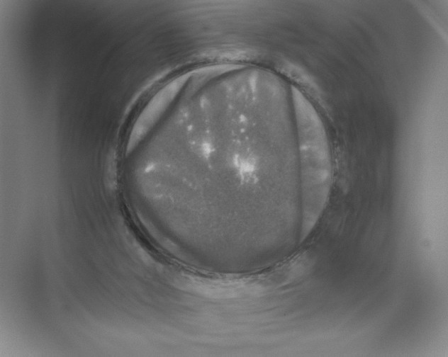 X0000074030012200609181938