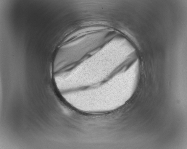 X0000074030013200609181938