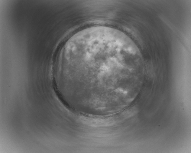 X0000074030016200609181938