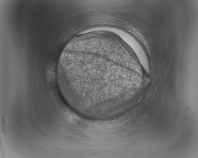 X0000074030017200609181938