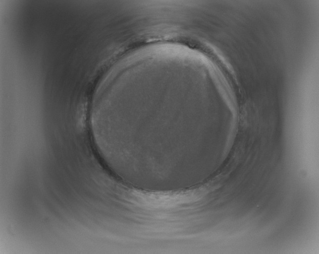 X0000074030018200609181938