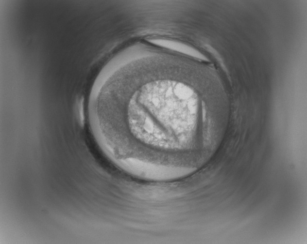 X0000074030020200609181938