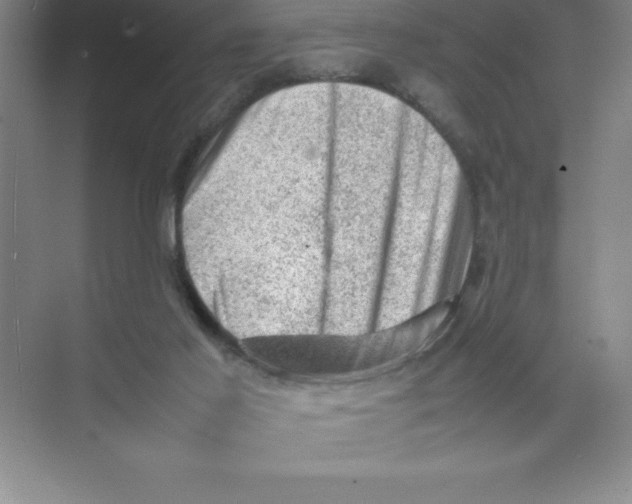 X0000074030021200609181938