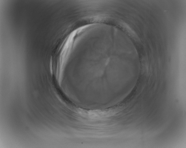 X0000074030022200609181938