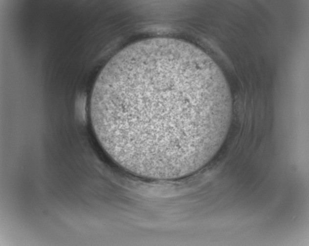 X0000074030024200609181938