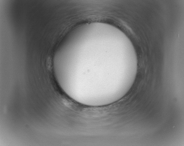 X0000074030025200609181938