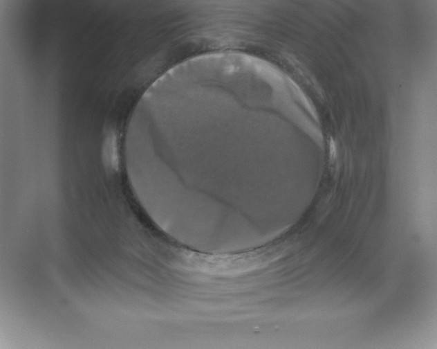 X0000074030026200609181938