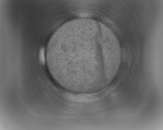 X0000074030028200609181938