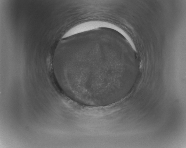 X0000074030029200609181938