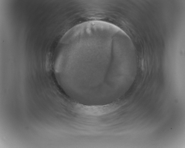 X0000074030030200609181938