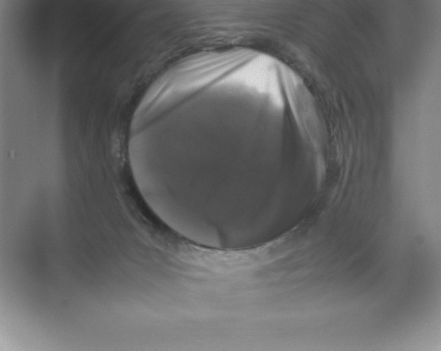 X0000074030031200609181938