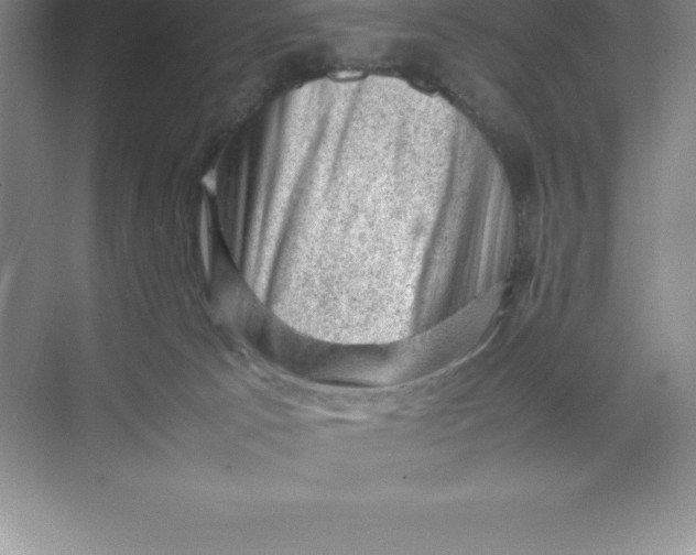 X0000074030033200609181938