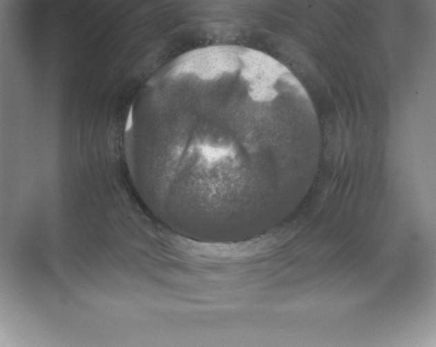 X0000074030034200609181938