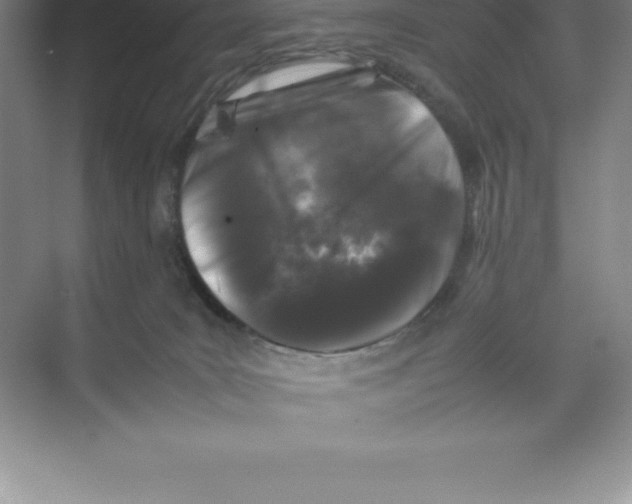 X0000074030035200609181938