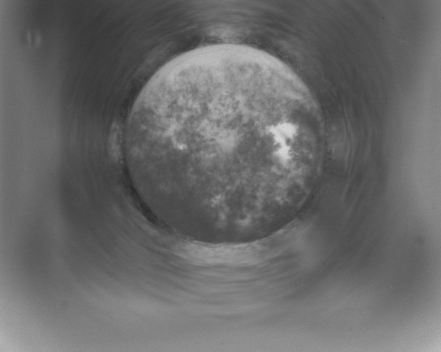 X0000074030036200609181938