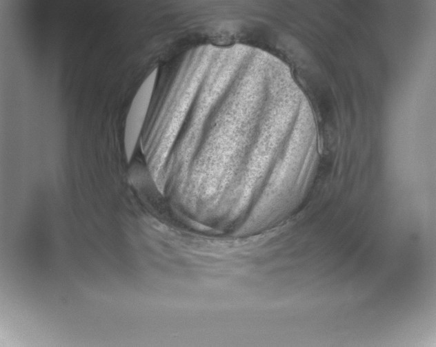 X0000074030037200609181938