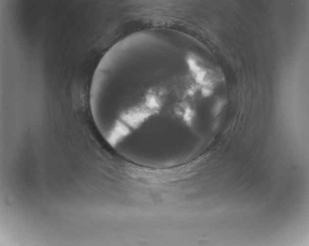 X0000074030039200609181938