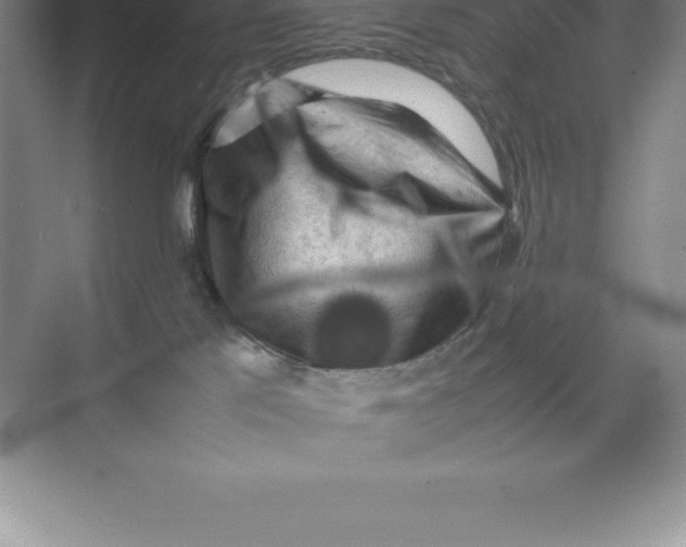 X0000074030041200609181938