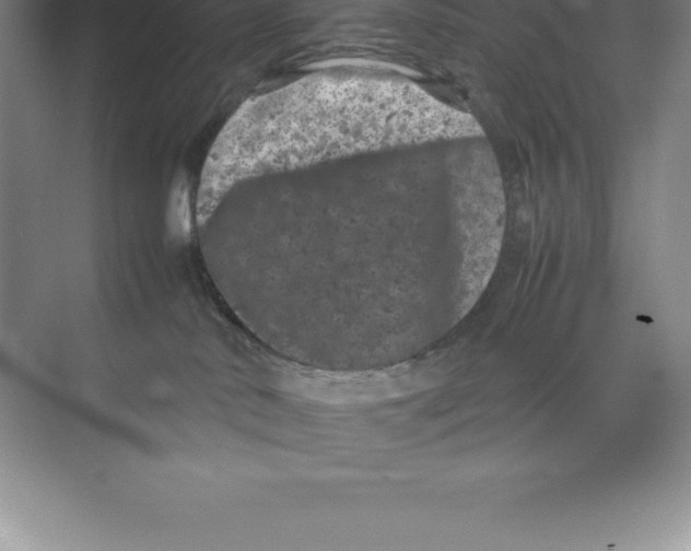 X0000074030042200609181938