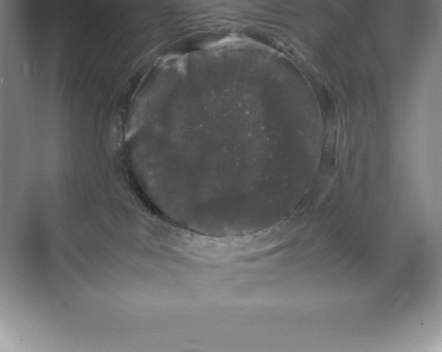 X0000074030043200609181938