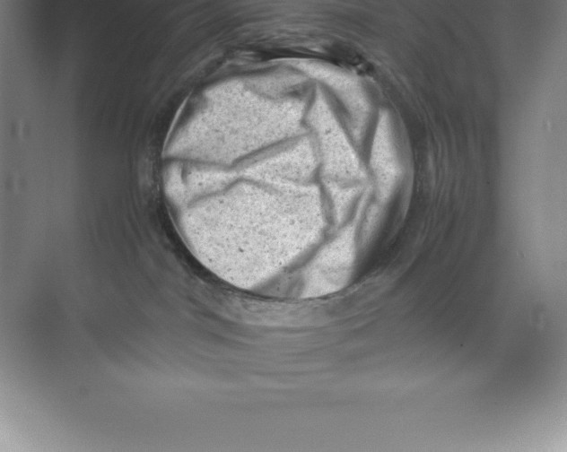 X0000074030044200609181938