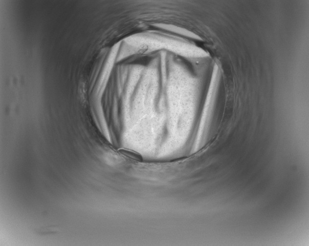 X0000074030045200609181938