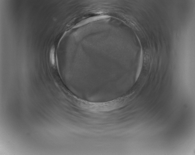 X0000074030046200609181938