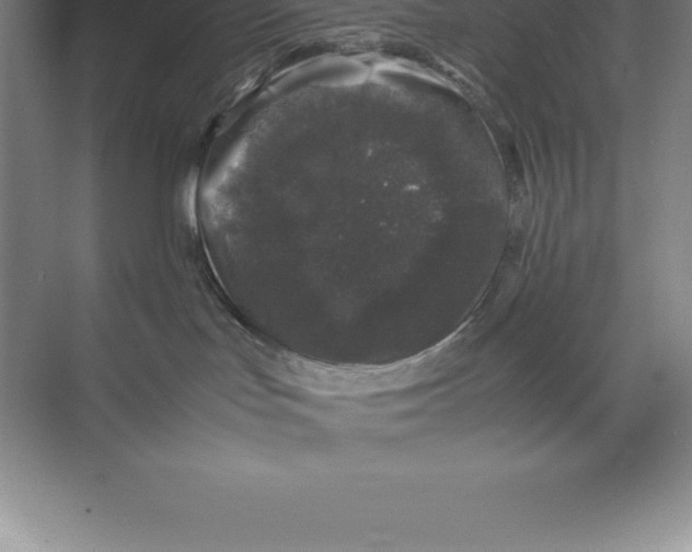 X0000074030047200609181938