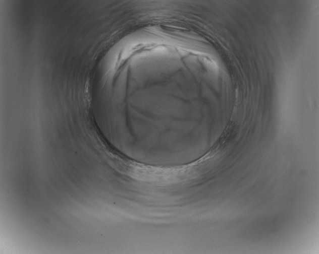 X0000074030048200609181938