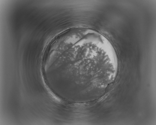 X0000074030049200609181937