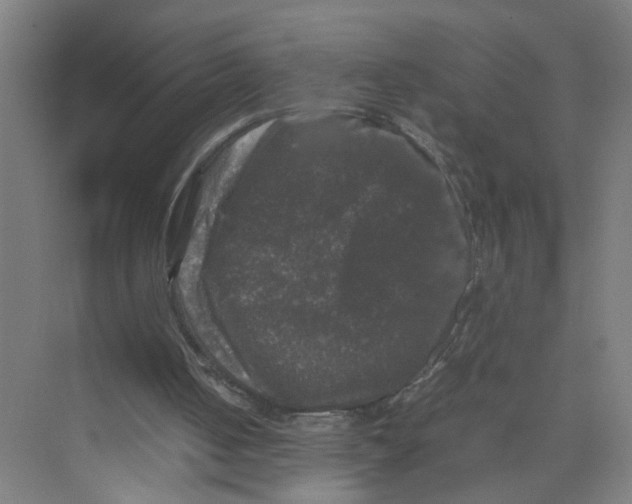 X0000074030050200609181937