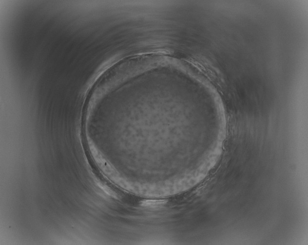 X0000074030051200609181937