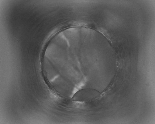 X0000074030053200609181937