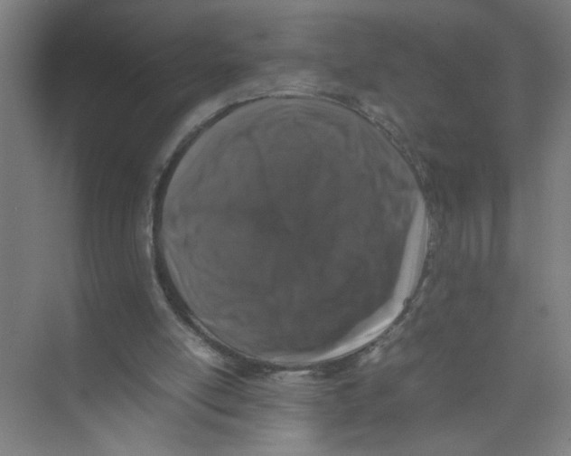 X0000074030054200609181937