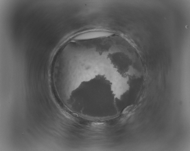 X0000074030055200609181937