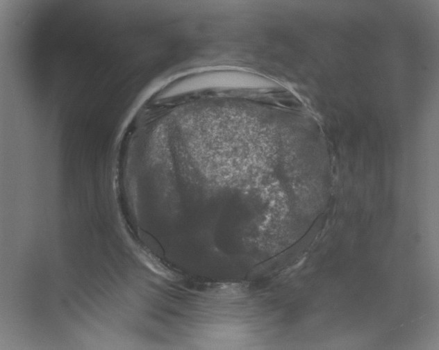 X0000074030056200609181937