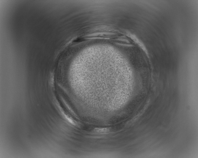 X0000074030057200609181937