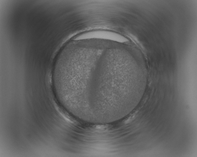 X0000074030060200609181937