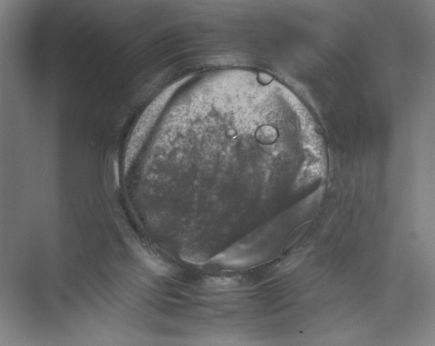 X0000074030061200609181937