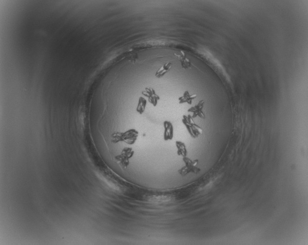 X0000074030063200609181937