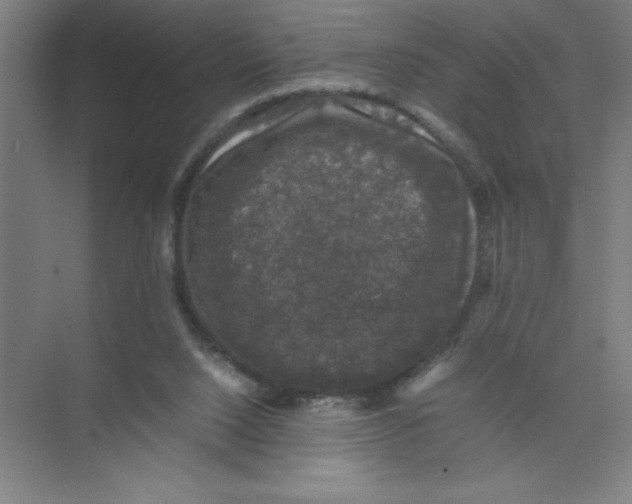 X0000074030064200609181937