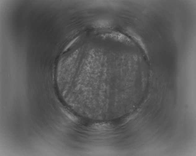 X0000074030065200609181937