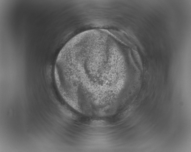 X0000074030066200609181937