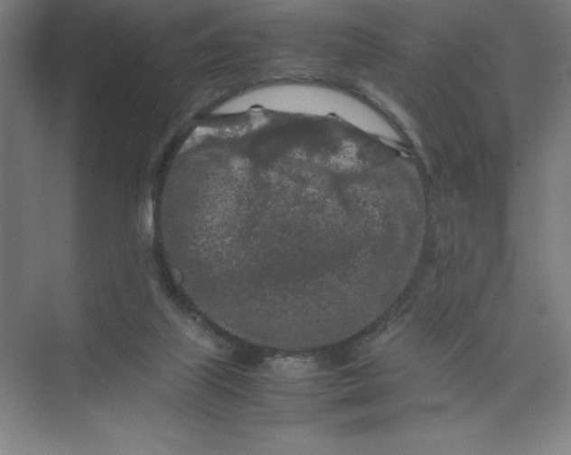 X0000074030067200609181937