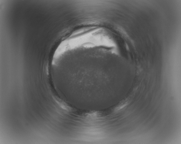 X0000074030068200609181937