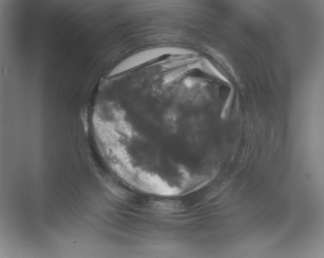 X0000074030069200609181937